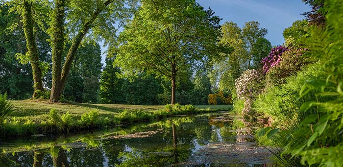 badMuskau-summer-category-pic