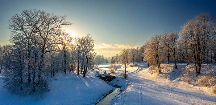 badMuskau-winter-category-pic