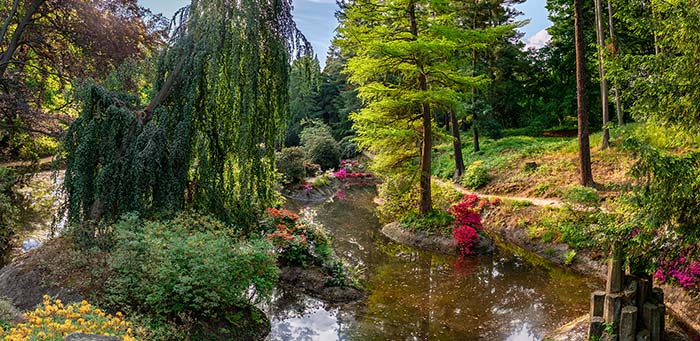 kromlau-spring-category-pic