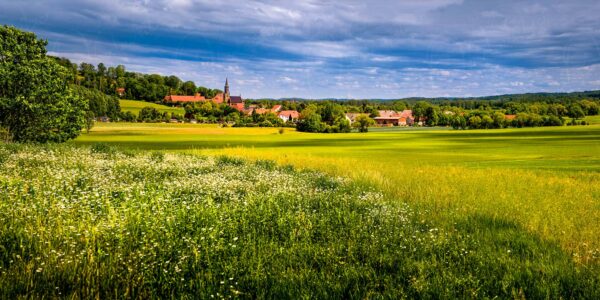 Leuba - Wildblumenwiesen auf den Neißeauen