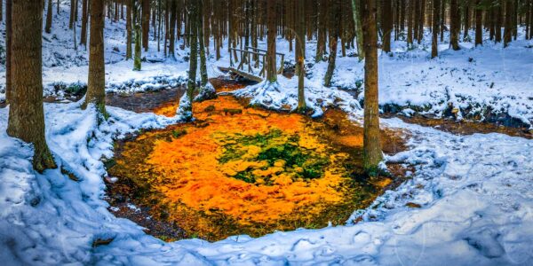 Krompach (CZ) - Farbenprächtige Mineralölquelle im Winterwald
