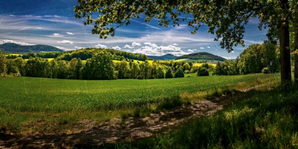Bertsdorf-Hörnitz – Frühlingsfarben bemalen den Gebirgsblick zur Lausche